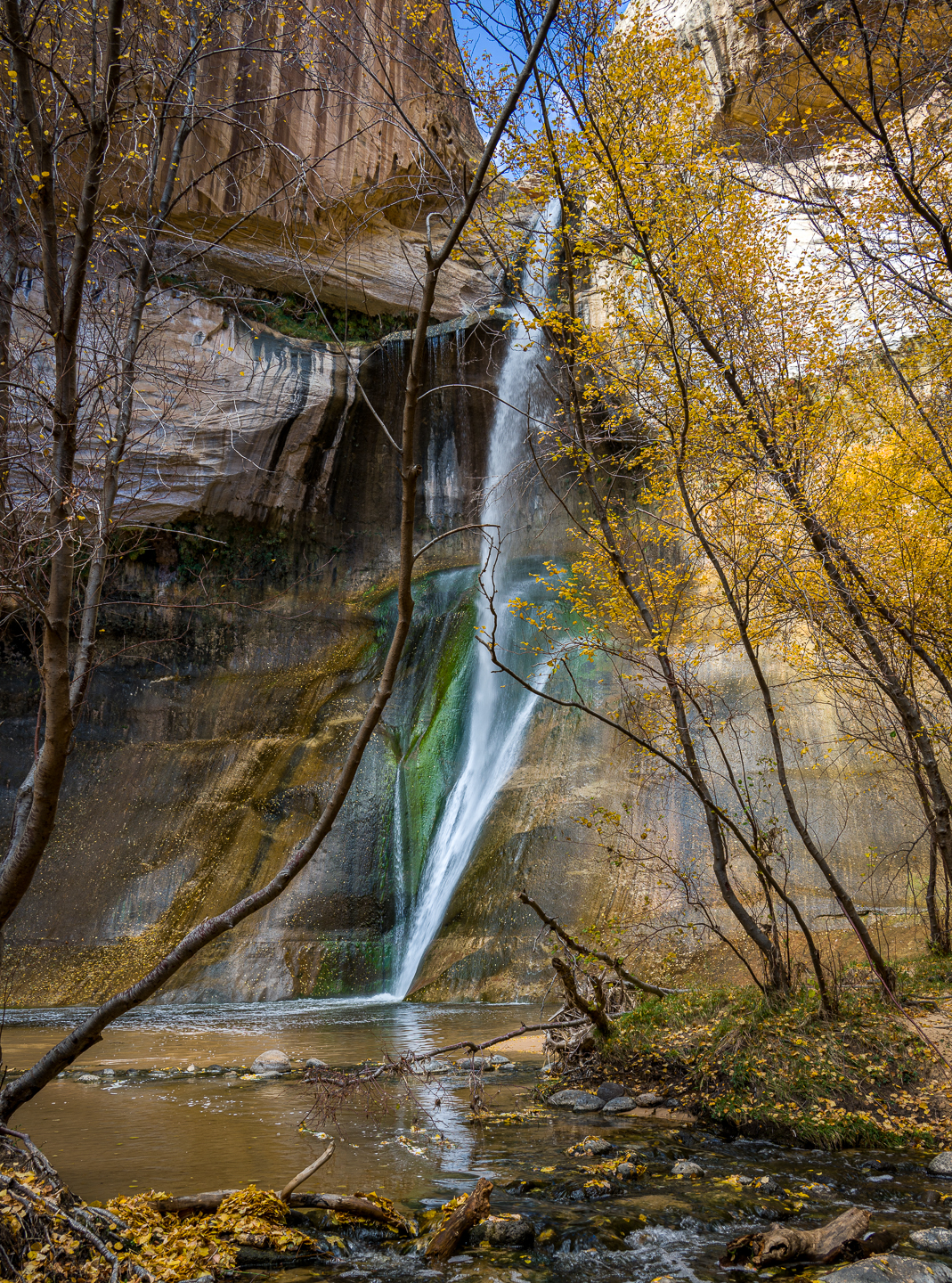 3rd PrizeAssigned Pictorial In Class 3 By John Hoyt For Lower Falls NOV-2021.jpg